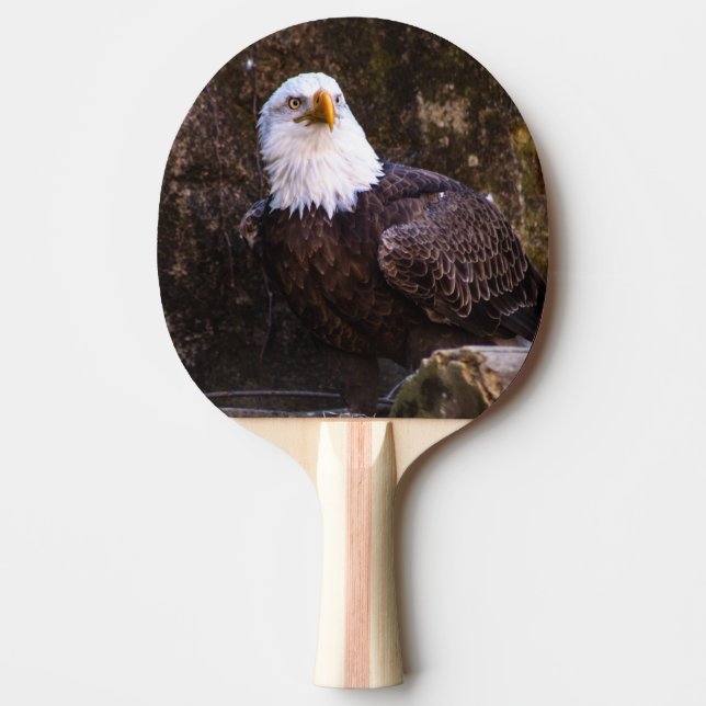 Pala De Ping Pong Bald Eagle (Anverso)