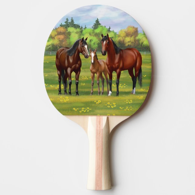 Pala De Ping Pong Barrio Marrón De Caballos En Pasto De Verano (Anverso)