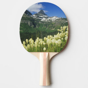 Pala De Ping Pong Beargrass cerca de Logan Pass en Gacier National