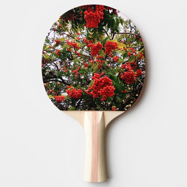 Pala De Ping Pong Bellas rojas (Anverso)