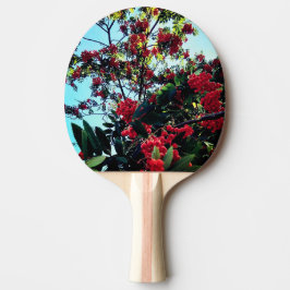 Pala De Ping Pong Bellas rojas