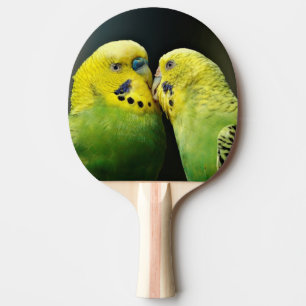 Pala De Ping Pong Bird de loro de Budgie