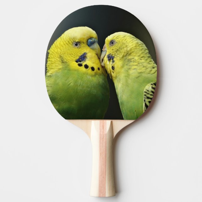 Pala De Ping Pong Bird de loro de Budgie (Anverso)