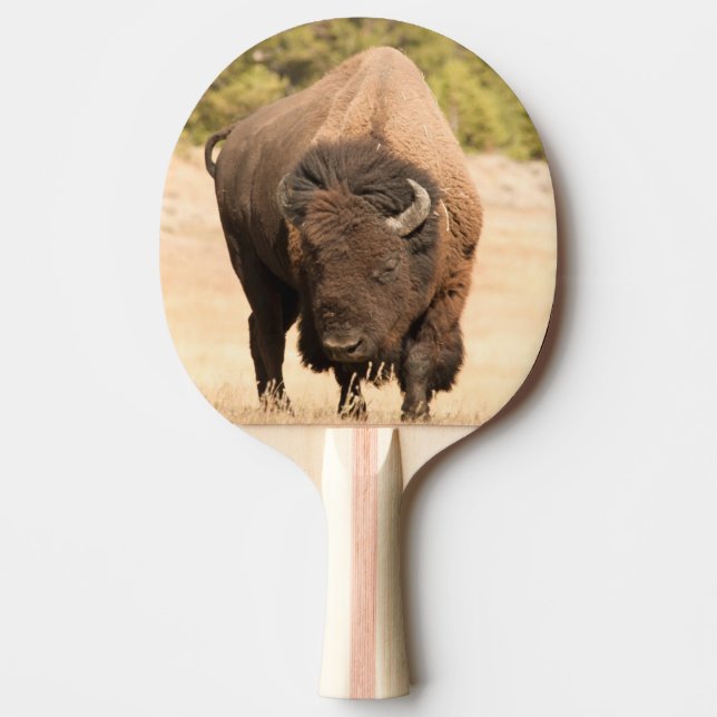 Pala De Ping Pong Bisonte (Anverso)