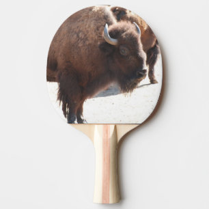 Pala De Ping Pong Bisonte