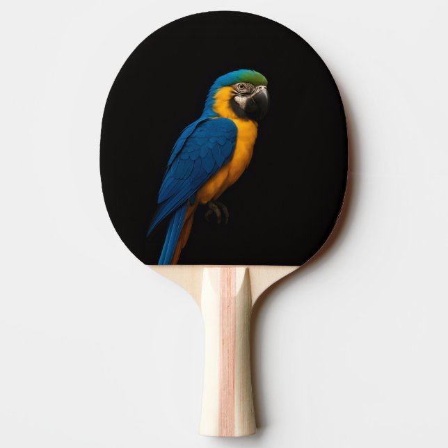 Pala De Ping Pong Black 4 Luxe ping pong paddle, Blue Yellow Macaw (Reverso)