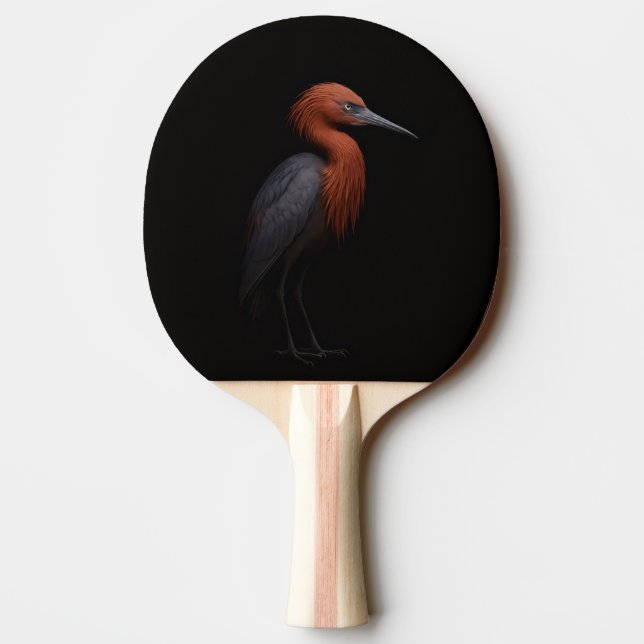 Pala De Ping Pong Black 4 Luxe ping pong paddle, Reddish Egret (Reverso)