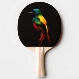 Pala De Ping Pong Black 4 Paddle de ping pong de lujo, Ave arcoiris