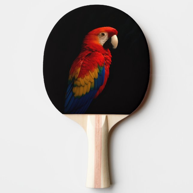 Pala De Ping Pong Black 4 Paddle de ping pong de lujo, Scarlet Parro (Reverso)