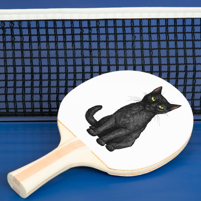 Pala De Ping Pong Black cat (in situ)