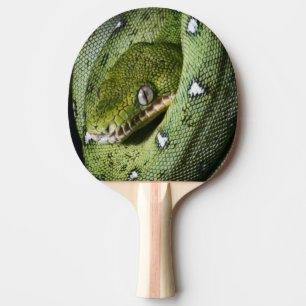 Pala De Ping Pong Boa esmeralda de la serpiente verde del árbol en