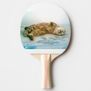 Pala De Ping Pong bobtail japonés marrón atigrado