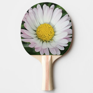 Pala De Ping Pong Bonito