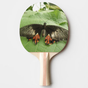 Pala De Ping Pong Bonito Black Red and Gold Buttetrfly Ping Pong