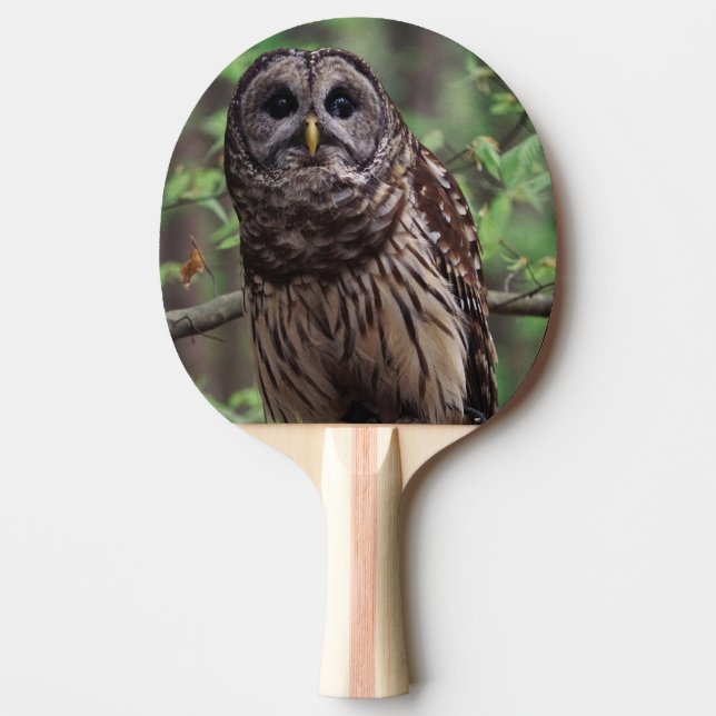 Pala De Ping Pong Búho Barrado (Anverso)