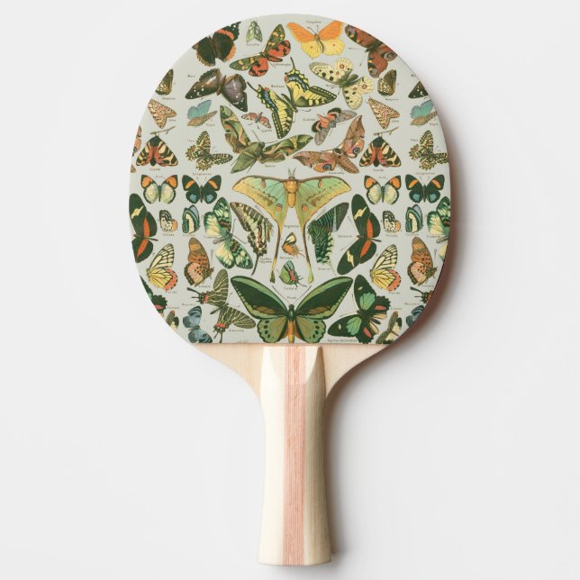 Pala De Ping Pong Butterfly Vintage Antiguo Butterflies Art (Anverso)