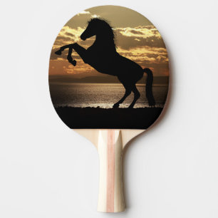 Pala De Ping Pong caballo