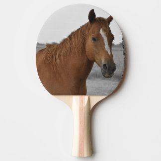 Pala De Ping Pong Caballo Marrón, Paleta de Ping Pong de Fondo B&W