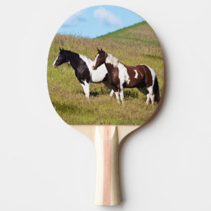 Pala De Ping Pong Caballos en la ladera