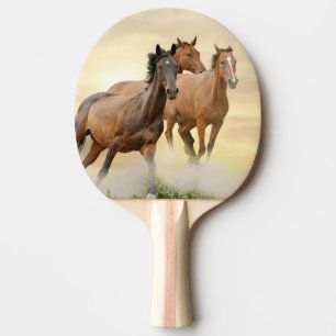 Pala De Ping Pong Caballos en puesta del sol