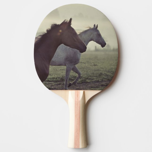 Pala De Ping Pong Caballos salvajes (Anverso)