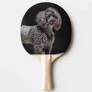 Pala De Ping Pong Cabeza de perro de caniche negro lindo sonriendo
