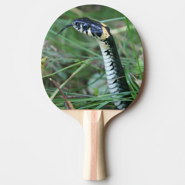 Pala De Ping Pong Cabeza de serpiente (Anverso)