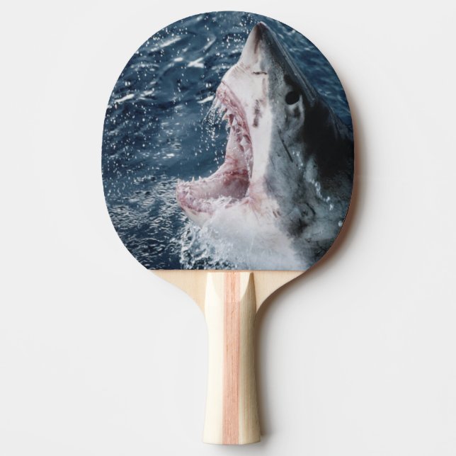 Pala De Ping Pong Cabeza de tiburón blanco (Anverso)