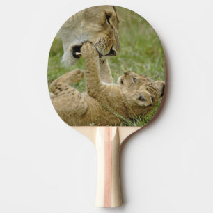 Pala De Ping Pong Cachorro de León Jugando