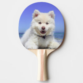Pala De Ping Pong Cachorro finlandés blanco