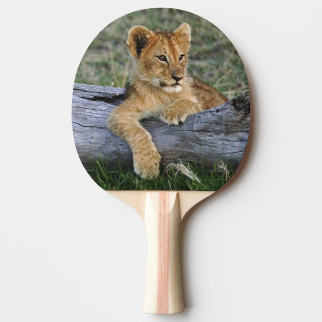 Pala De Ping Pong Cachorros de León en Tronco (Anverso)