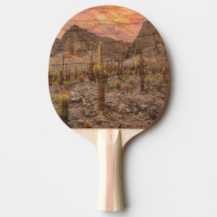 Pala De Ping Pong Cactus de Órgano en Foto de Puesta de Sol con Gran