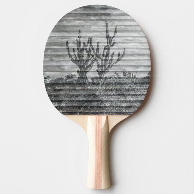 Pala De Ping Pong Cactus Plants On Wood Planks Black And White Photo (Anverso)