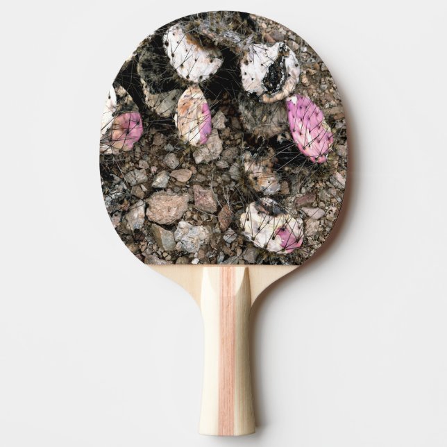 Pala De Ping Pong Cactus rosado muerto (Anverso)