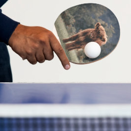 Pala De Ping Pong Campo de hierba de otoño de ternera de vaca de las