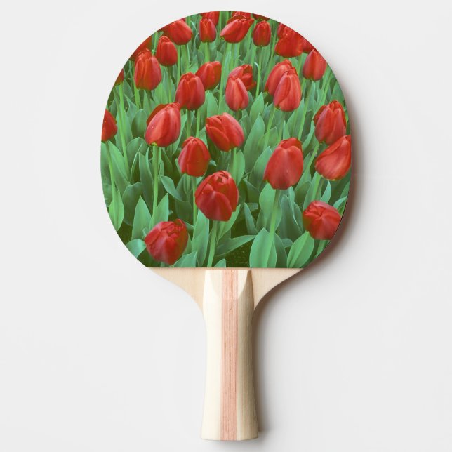 Pala De Ping Pong Campo de tulipanes florece en primavera. (Anverso)