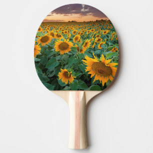 Pala De Ping Pong Campo del girasol en Longmont, Colorado
