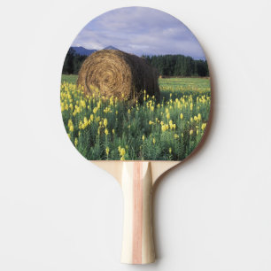Pala De Ping Pong Canadá, Columbia Británica, Kitwanga. Amarillo
