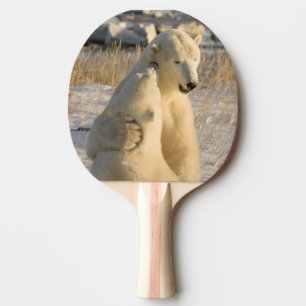 Pala De Ping Pong Canadá, Manitoba, bahía de Hudson, Churchill.