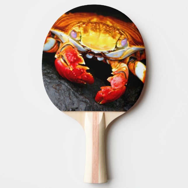 Pala De Ping Pong Cangrejo de las Islas Galápagos (Anverso)