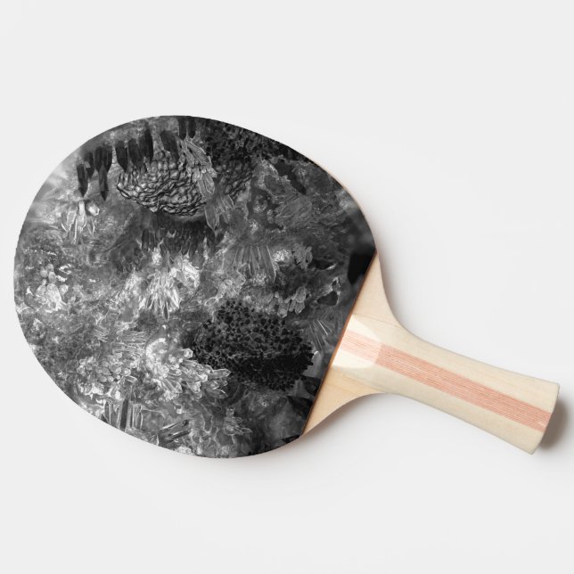 Pala De Ping Pong Capas de cristales grises (Lateral)