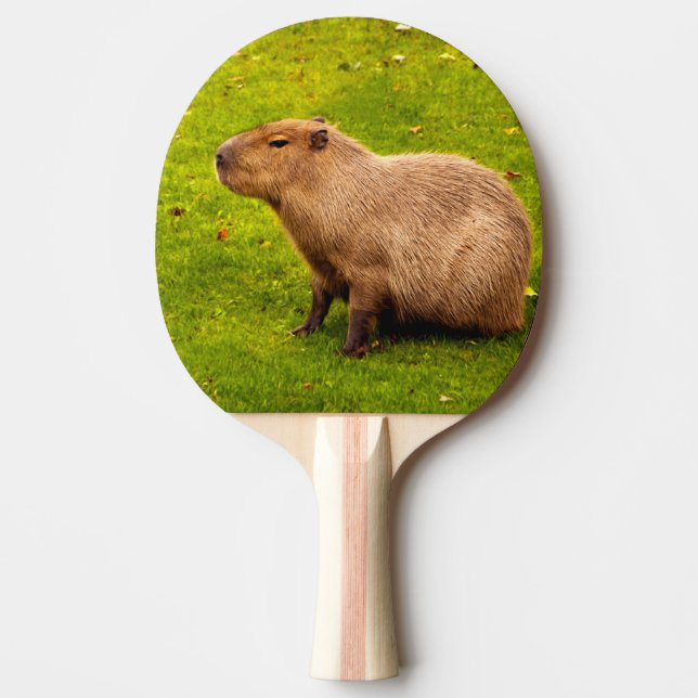 Pala De Ping Pong Capibara (Anverso)