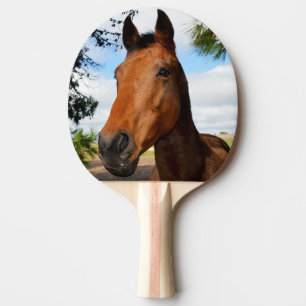 Pala De Ping Pong Cara de caballo marrón,