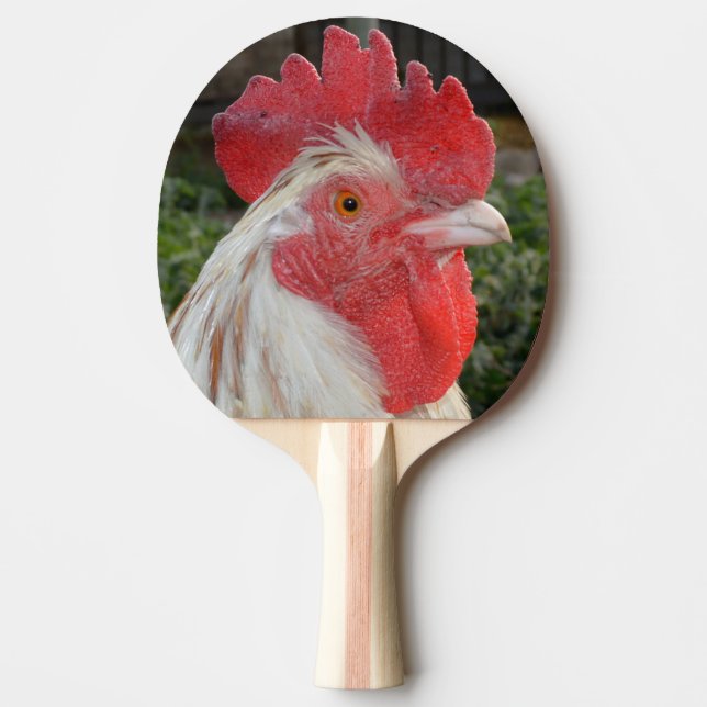 Pala De Ping Pong Cara de gallo de abadejo marrón, (Anverso)
