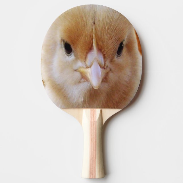 Pala De Ping Pong Cara de pollo bebé, (Anverso)