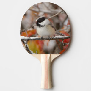 Pala De Ping Pong Carbonero Común adulto en la nieve