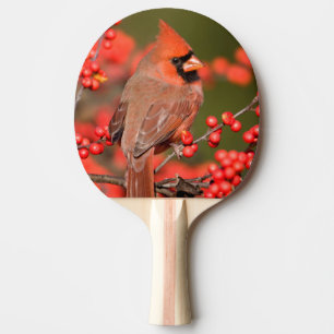 Pala De Ping Pong Cardenal Norteño en Acebo Común de Invierno