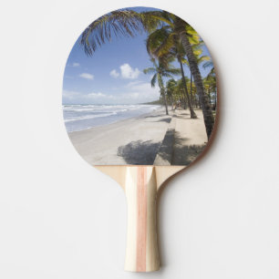 Pala De Ping Pong Caribe - Trinidad - Playa Manzanilla activada