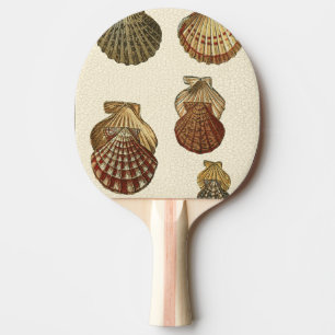 Pala De Ping Pong Cáscaras antiguas Crackled