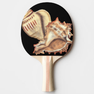 Pala De Ping Pong Cáscaras artísticas de la concha
